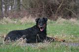 BEAUCERON 997